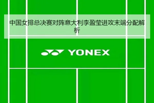 中国女排总决赛对阵意大利李盈莹进攻末端分配解析
