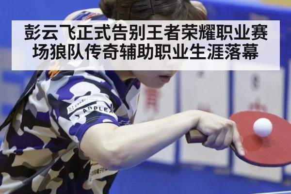彭云飞正式告别王者荣耀职业赛场狼队传奇辅助职业生涯落幕