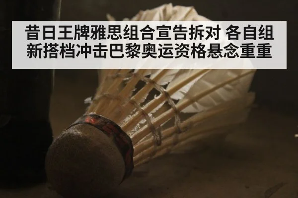 昔日王牌雅思组合宣告拆对 各自组新搭档冲击巴黎奥运资格悬念重重